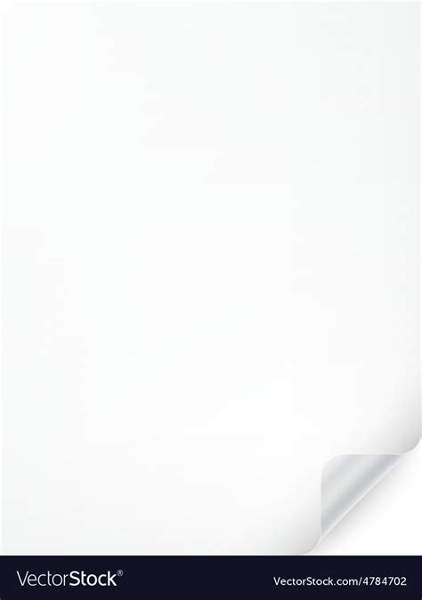 blank white vertical page royalty  vector image
