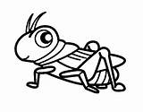 Grasshopper Coloring Colorear Para Dibujo Saltamontes Drawing Line Fun Pages Divertido Creativity Animales Dibujos Colour Getdrawings Book Coloringcrew Tools Printable sketch template