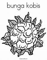 Cauliflower Bunga Cavolfiore Chou Peas Pahe Kobis sketch template