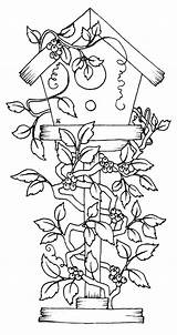 Coloring Pages Bird House Birdhouse Color Flowers Houses Printable Comments Getcolorings Getdrawings sketch template