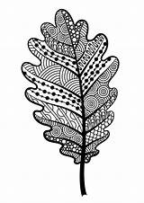 Zentangle Leaf Feuille Et Oak Leaves Mandala Vector Noir Tree Arbre Illustration Blanc Zentangles Autumn Chêne Stock Visit Drawing Doodle sketch template