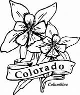 Coloring Columbine Flower Flowers Colorado State Drawing Drawings Pages Kids Hibiscus Cliparts Sheets Printable Template Central sketch template