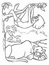 Jungle Dschungelbuch Malvorlagen Mowgli Coloriages Junglebook Kleurplaten Animaux Selva Disneymalvorlagen Sauvages Vorlagen Malbuch Jungs Disneykleurplaten Gioca Bagheera Dorme Disneydibujos Malvorlage sketch template