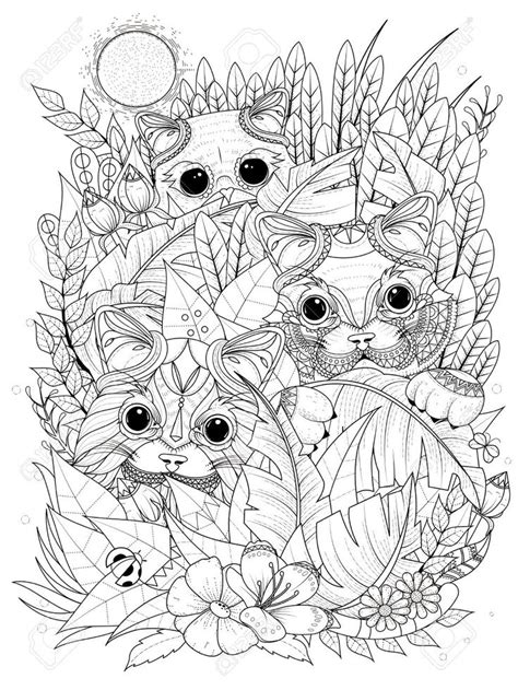 pin  beth conroy  color cats cat coloring page adult coloring
