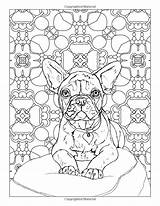 Frenchie Book Bulldogs Faithful sketch template