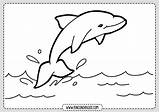 Delfines Delfin Rincon Rincondibujos Imprimir Seleccionar sketch template