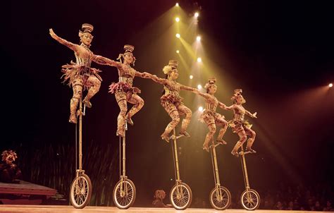 cirque du soleils     years time