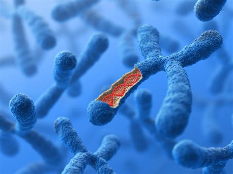 Triple X Syndrome Symptoms Chromosomes Diagnosis And Treatment