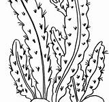 Coloring Desert Plants Pages Scene Zombies Vs Getdrawings Printable Book Getcolorings Drawing Colorings sketch template