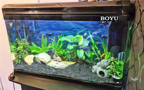 boyu eae tropical aquarium fish tank