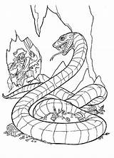 Snake Serpiente Caccia Serpente Segugio Colorkid sketch template