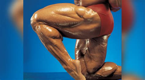 ultimate quads  hamstrings workout muscle fitness