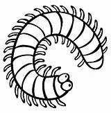 Coloring Millipede Centipede Insect Pages Color Clipart Creepy Cartoon Centipedes Crawlers Colouring Clip Online Insects Print Kids Millipedes Sheets Animals sketch template