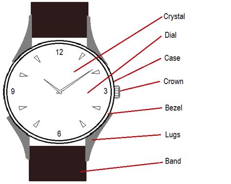 wristwatch terminology