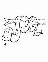 Coloring Branch Snake Cute Pages Printable Designlooter sketch template