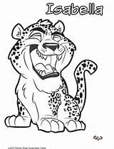 Coloring Jaguar Panther Pages Baby Drawing Head Getdrawings Preschool Print Getcolorings sketch template