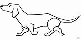 Dachshund Bassotto Cani Cane Simpatici Divertenti Mammal Disegnare Pluspng Webstockreview sketch template