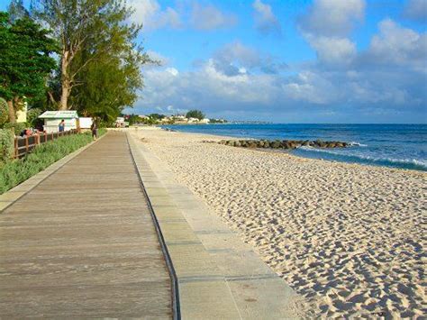 The Barbados Boardwalk Nature And Heritage Shared See Barbados