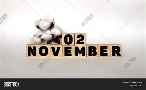 november november  image photo  trial bigstock