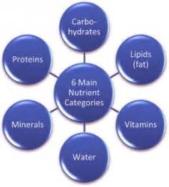 whats nutrition       indian weight