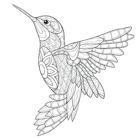 hummingbird coloring pages  adults  getcoloringscom
