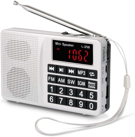 prunus  fm digital radio portable battery operated radio  bass speaker large button auto