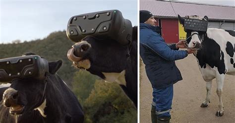 Russian Farmers Are Putting Virtual Reality Headsets On
