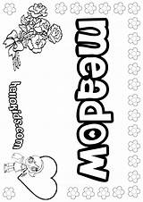 Meadow Coloring Pages Meagan Hellokids Print Color Online sketch template