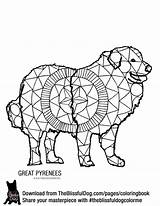 Pyrenees Designlooter Maremma Sheepdog sketch template