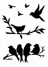 Pochoir Oiseaux Schablonen Vogel Besuchen Branches sketch template