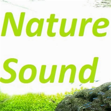 nature sound youtube