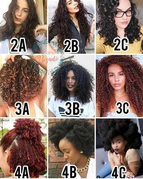 How To Know Your Hair Type Hair Texture And Hair Porosity Curly Hair