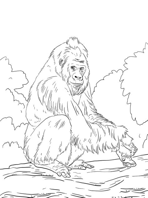 top  printable ape coloring pages  coloring pages