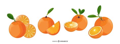Oranges Fruits Illustrated Icons Vector Download