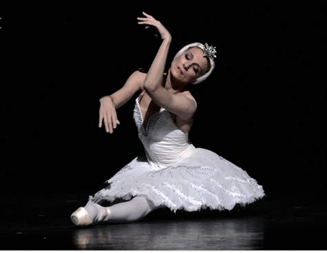 ballerina zenaida yanowsky on performing the dying swan beautiful