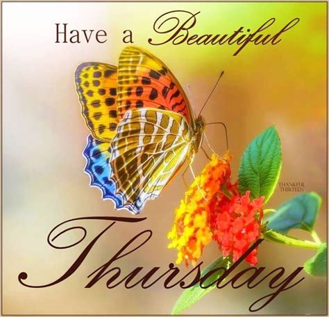 beautiful thursday pictures   images  facebook