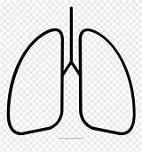 Lungs Coloring Lung Pinclipart sketch template