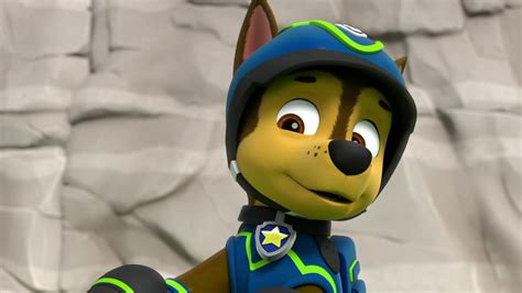 chase chase paw patrol photo  fanpop page