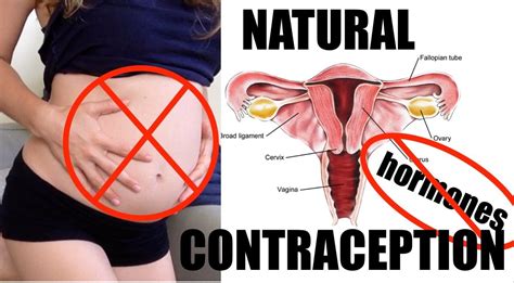 Natural Birth Control Methods Using Home Remedies