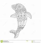 Dolphin Zentangle Vector Print sketch template