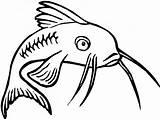 Catfish Coloring Pages Channel Bored Feeling Drawing Clipartmag Getcolorings sketch template