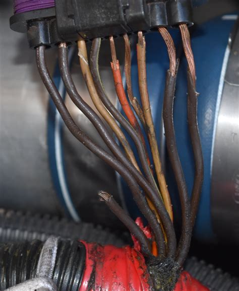stereo wiring harness