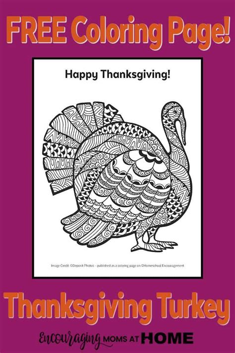 turkey coloring page  thanksgiving