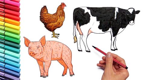 farm animals coloring pages learning animal   sound  kids