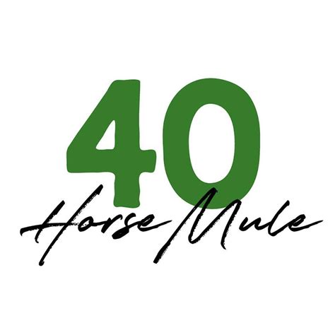 horse mule