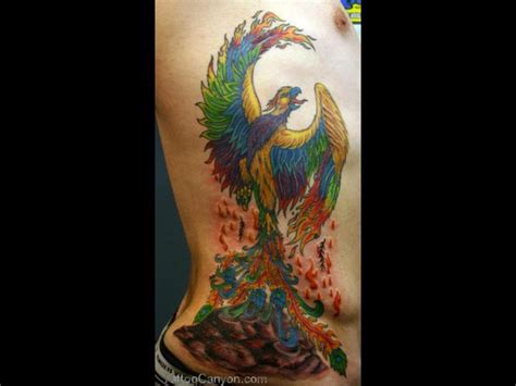 fire phoenix tattoo  meaning images  pinterest phoenix