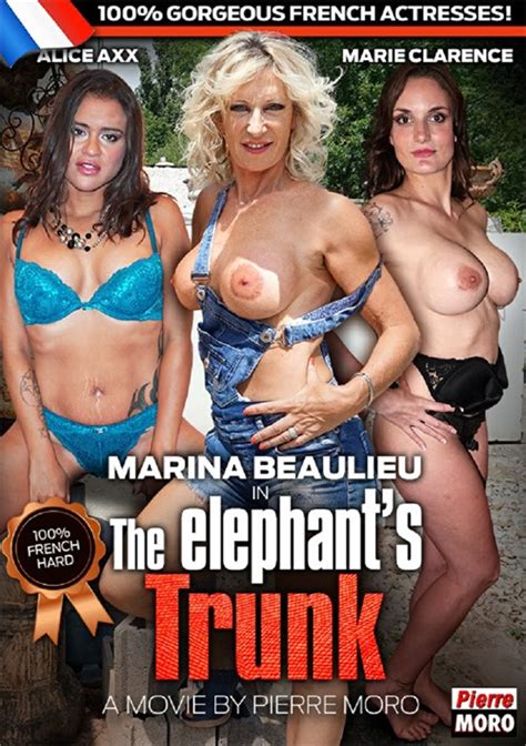 Elephant S Trunk The 2017 Hpg Production Adult Dvd Empire