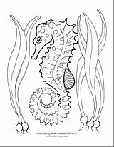 Seahorse Coloring Horse Pages Drawing Seahorses Sea Color Printable Cute Google Adult Draw Outline Kids Print Beach Getdrawings Mermaid Tattoo sketch template