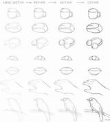 Sketch Drawing Beginners Practice Examples Sketching Example Lesson Drawings Hand Rapidfireart Some Dominant Improvements Noticed Non Using These After Big sketch template
