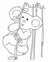 Koala Coloring Pages Printable Kids Energy Clipart Colouring Bear Bestcoloringpagesforkids Koalas Library Books Choose Board Cute Line sketch template